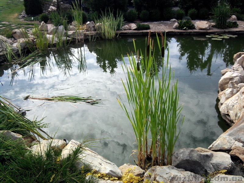 Устройство искусственных водоемов - <ro>Изображение</ro><ru>Изображение</ru> #6, <ru>Объявление</ru> #889984