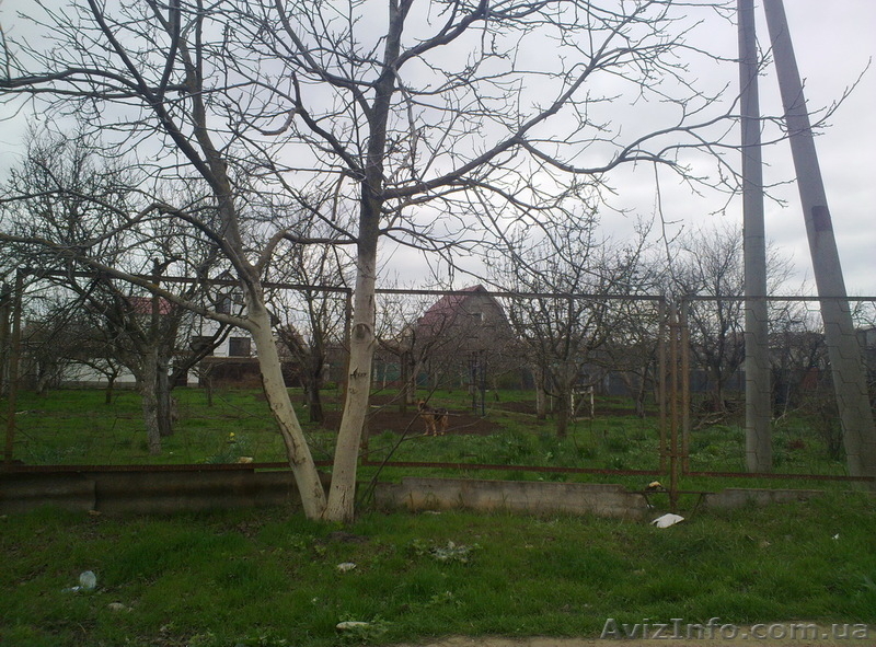 Продам участок на СУХОМ ЛИМАНЕ - <ro>Изображение</ro><ru>Изображение</ru> #3, <ru>Объявление</ru> #902240