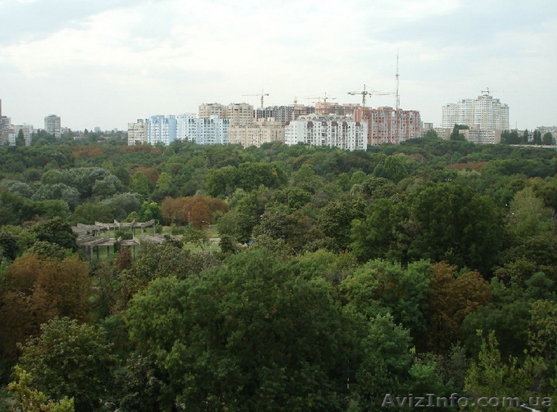 Продам 2-х ком. кв. на пр-те ШЕВЧЕНКО/Дворец спорта - <ro>Изображение</ro><ru>Изображение</ru> #2, <ru>Объявление</ru> #918545