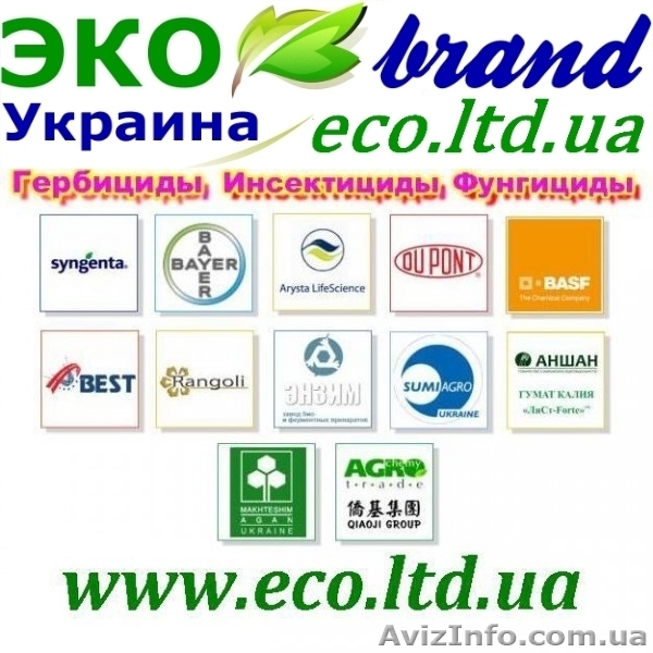 ЭКО Технология выращивания Пшеницы, Кукурузы и Подсолнечника. - <ro>Изображение</ro><ru>Изображение</ru> #6, <ru>Объявление</ru> #911887