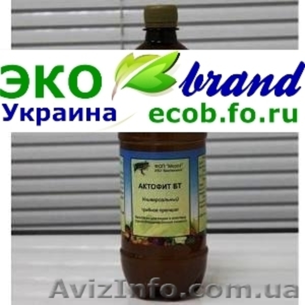 ЭКО Технология выращивания Пшеницы, Кукурузы и Подсолнечника. - <ro>Изображение</ro><ru>Изображение</ru> #5, <ru>Объявление</ru> #911887