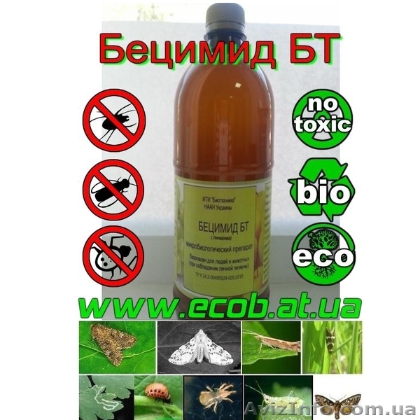 ЭКО Технология выращивания Пшеницы, Кукурузы и Подсолнечника. - <ro>Изображение</ro><ru>Изображение</ru> #3, <ru>Объявление</ru> #911887