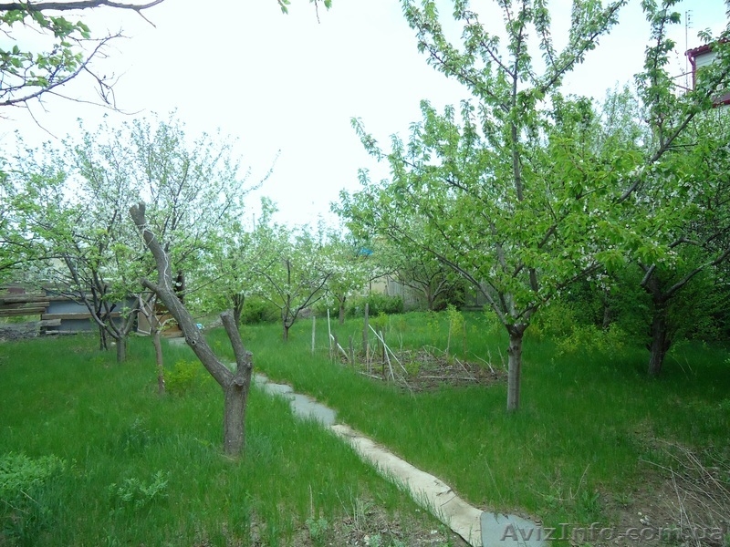 Продам дачу с.Полиёво - <ro>Изображение</ro><ru>Изображение</ru> #4, <ru>Объявление</ru> #911833