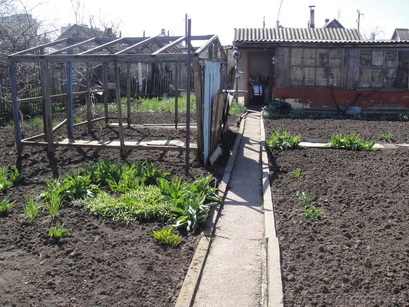 Продаётся участок 6 соток  с крепким домом. - <ro>Изображение</ro><ru>Изображение</ru> #5, <ru>Объявление</ru> #931754