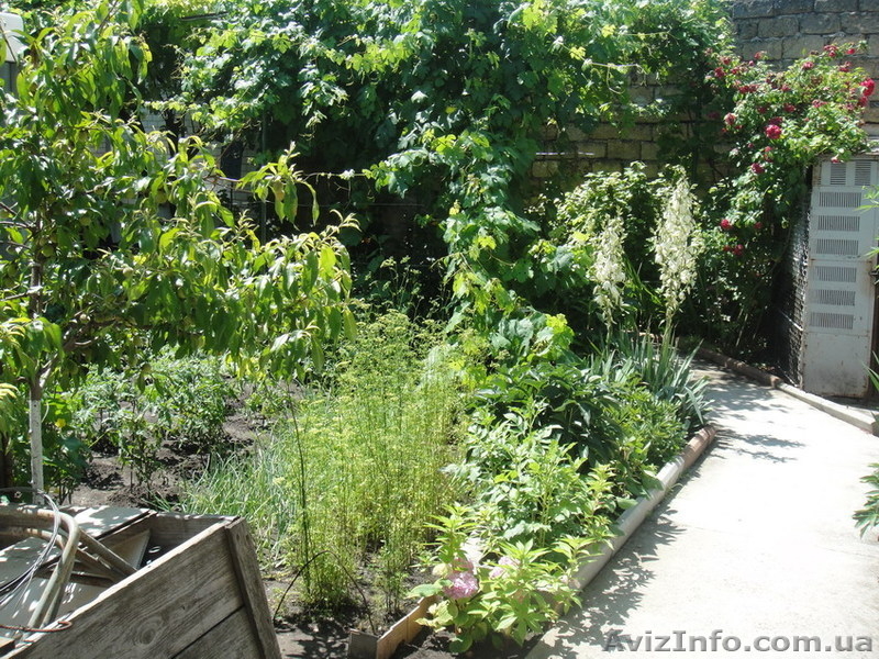 Продам дачу на Чубаевке. - <ro>Изображение</ro><ru>Изображение</ru> #3, <ru>Объявление</ru> #931758