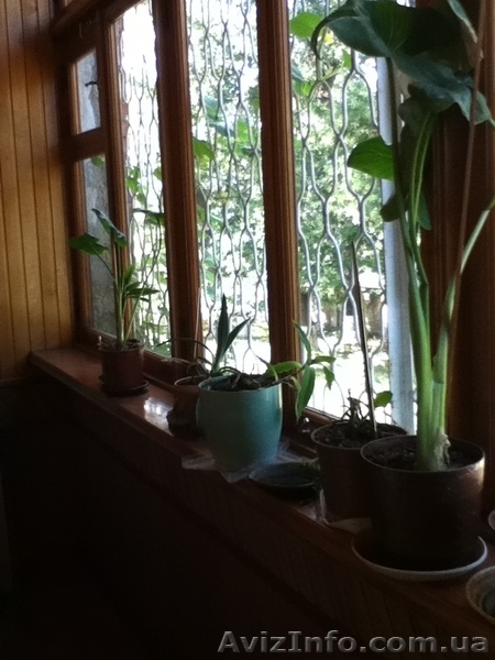 Отличная квартира на Бреуса (Рекордная) - <ro>Изображение</ro><ru>Изображение</ru> #9, <ru>Объявление</ru> #935029