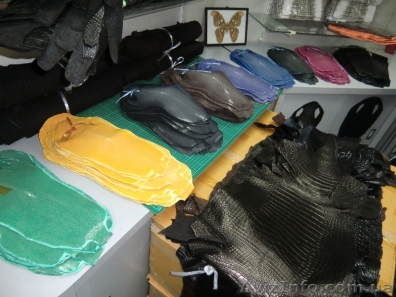 Продажа кожи рептилий и экзотических животных - <ro>Изображение</ro><ru>Изображение</ru> #3, <ru>Объявление</ru> #948193