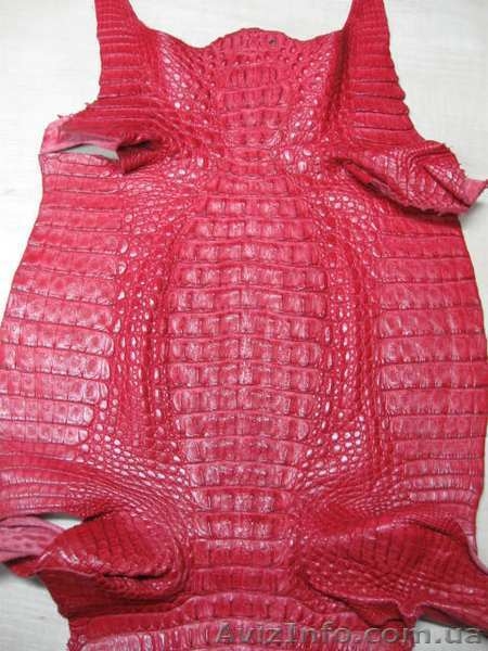 Продажа кожи рептилий и экзотических животных - <ro>Изображение</ro><ru>Изображение</ru> #5, <ru>Объявление</ru> #948193