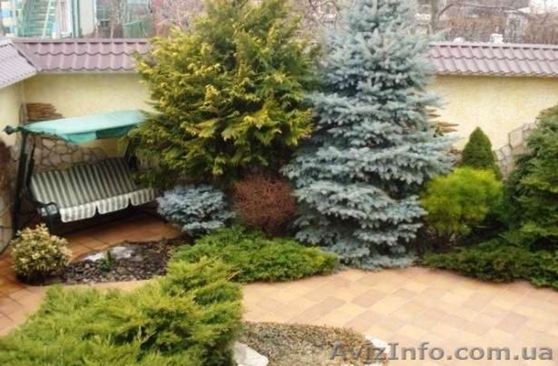 Продам 2-х этажный дом на ул. Художника Федорова - <ro>Изображение</ro><ru>Изображение</ru> #4, <ru>Объявление</ru> #983925