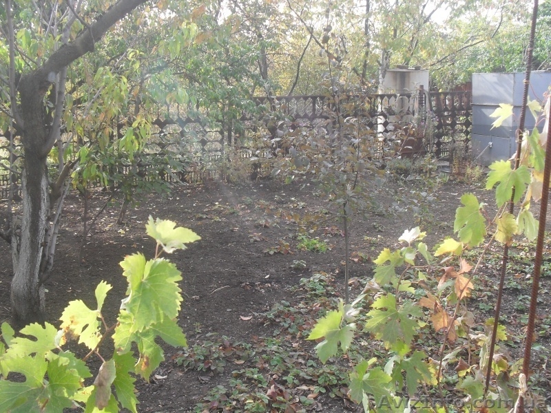 Дом в Светлом по ликвидной цене - <ro>Изображение</ro><ru>Изображение</ru> #5, <ru>Объявление</ru> #974684