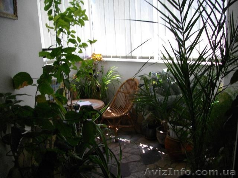 Продам 4-х комн. квартиру с ремонтом на ул. Педагогическая - <ro>Изображение</ro><ru>Изображение</ru> #5, <ru>Объявление</ru> #984858