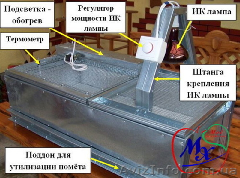 Брудер для выращивания суточных перепелов. - <ro>Изображение</ro><ru>Изображение</ru> #3, <ru>Объявление</ru> #968561