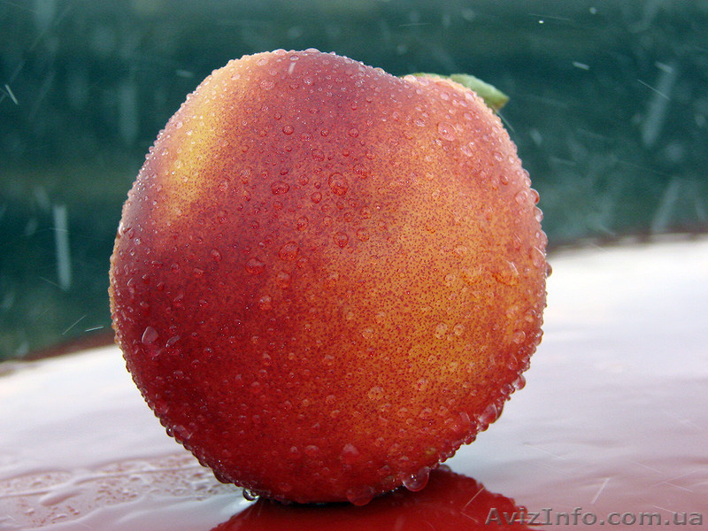 Домашние конфитюры - ручная работа - <ro>Изображение</ro><ru>Изображение</ru> #6, <ru>Объявление</ru> #976425