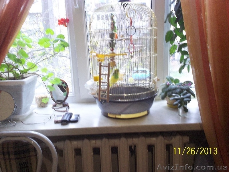 Продам комнату в коммуне, 22 кв.м ремонт VIP-уровня, 1ст. Люст.дор. - <ro>Изображение</ro><ru>Изображение</ru> #8, <ru>Объявление</ru> #1000986