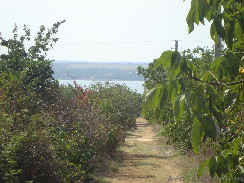 Свой участок. с. Морозовка 6 соток - <ro>Изображение</ro><ru>Изображение</ru> #5, <ru>Объявление</ru> #999166