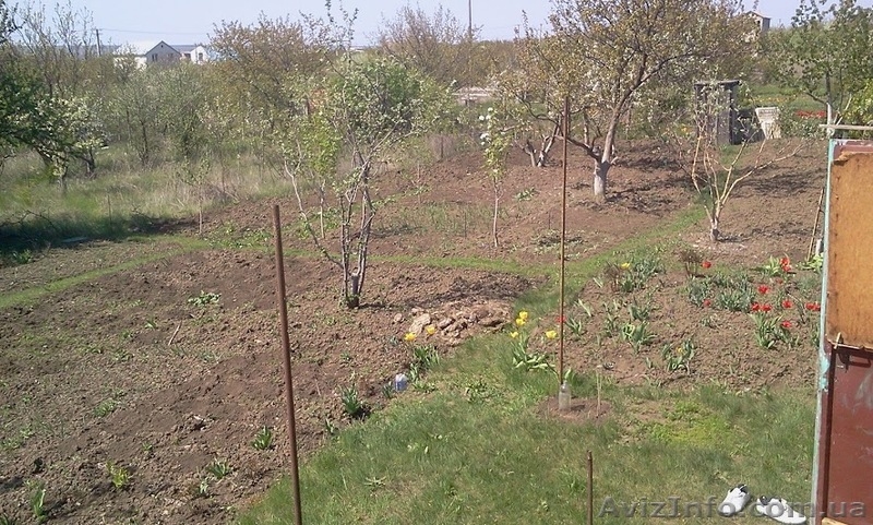 Свой участок. с. Морозовка 6 соток - <ro>Изображение</ro><ru>Изображение</ru> #3, <ru>Объявление</ru> #999166