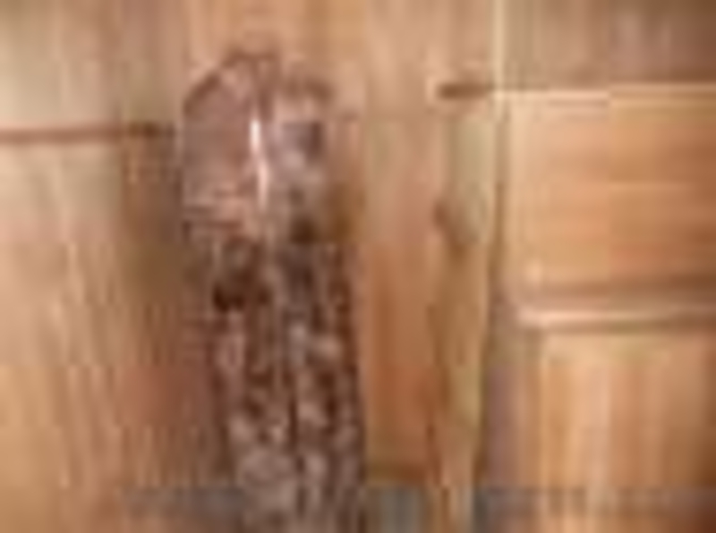 Сауна на Таирова за МЭТРО с бассейном 100 грн. час - <ro>Изображение</ro><ru>Изображение</ru> #3, <ru>Объявление</ru> #1002881