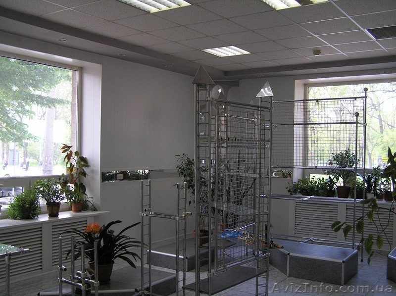 Сдам офис магазин представительство 90м2  - <ro>Изображение</ro><ru>Изображение</ru> #3, <ru>Объявление</ru> #1019932