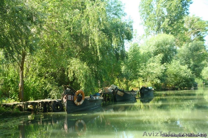 Отдых в Вилково!!! Двухдневый экскурсионный отдых "Уютный Вилковский дворик" - <ro>Изображение</ro><ru>Изображение</ru> #3, <ru>Объявление</ru> #1024405