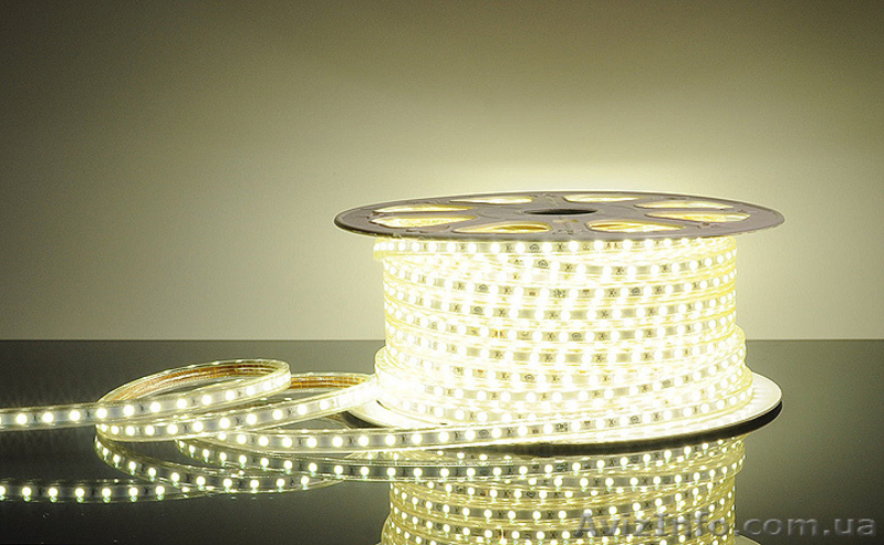 Светодиодный  Дюралайт . - <ro>Изображение</ro><ru>Изображение</ru> #3, <ru>Объявление</ru> #1024041