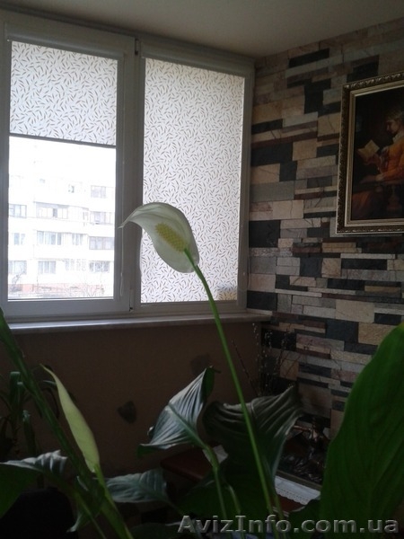 Квартира с качественным ремонтом отличной планировки - <ro>Изображение</ro><ru>Изображение</ru> #5, <ru>Объявление</ru> #1063852