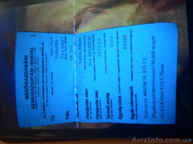 Кукуруза  Монсанто ДК 315 - <ro>Изображение</ro><ru>Изображение</ru> #3, <ru>Объявление</ru> #1056325