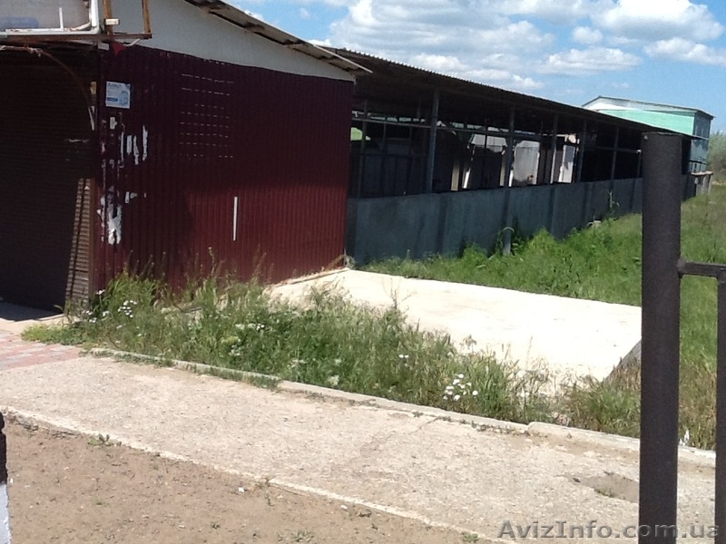 Аренда торговых точек на сезон, пгт Затока. - <ro>Изображение</ro><ru>Изображение</ru> #9, <ru>Объявление</ru> #1090214