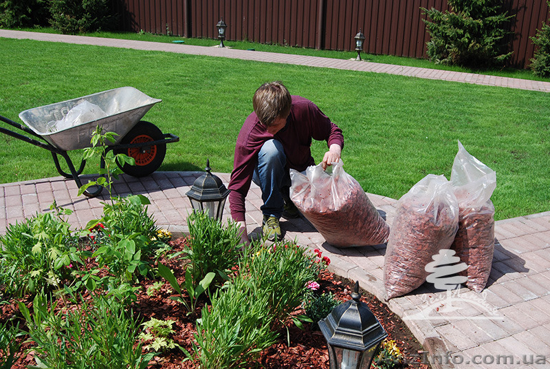  Уход за приусадебным участком. услуги садовника - <ro>Изображение</ro><ru>Изображение</ru> #3, <ru>Объявление</ru> #1094199