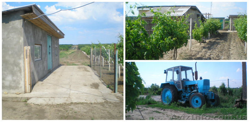 Крестьянское( фермерское) хозяйство - <ro>Изображение</ro><ru>Изображение</ru> #3, <ru>Объявление</ru> #1104285