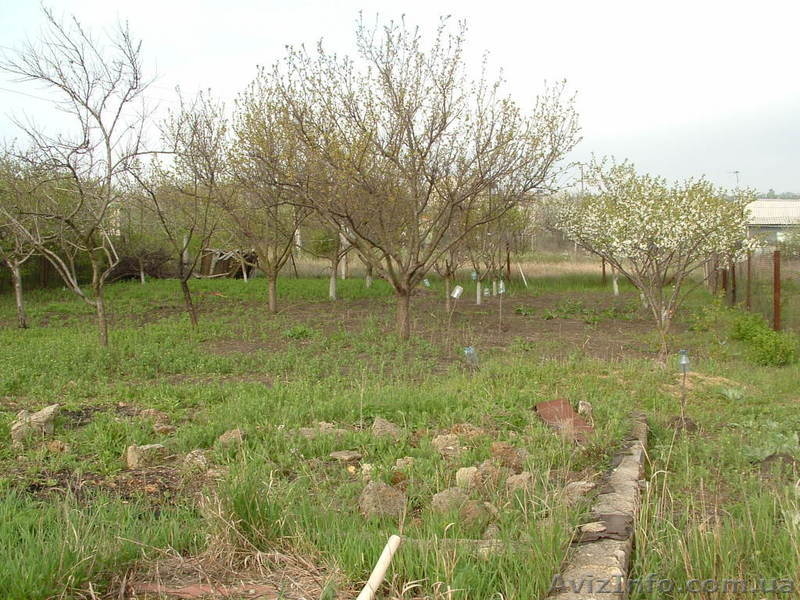 Земля у Хаджибееевского лимана. Ищем нового хозяина - <ro>Изображение</ro><ru>Изображение</ru> #3, <ru>Объявление</ru> #1118923