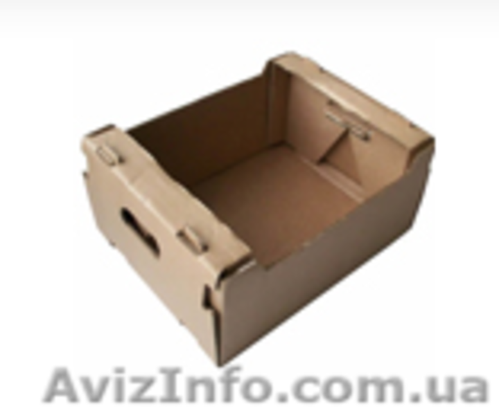 Тара картонная под помидор на 5кг - 10кг  - <ro>Изображение</ro><ru>Изображение</ru> #3, <ru>Объявление</ru> #1119792