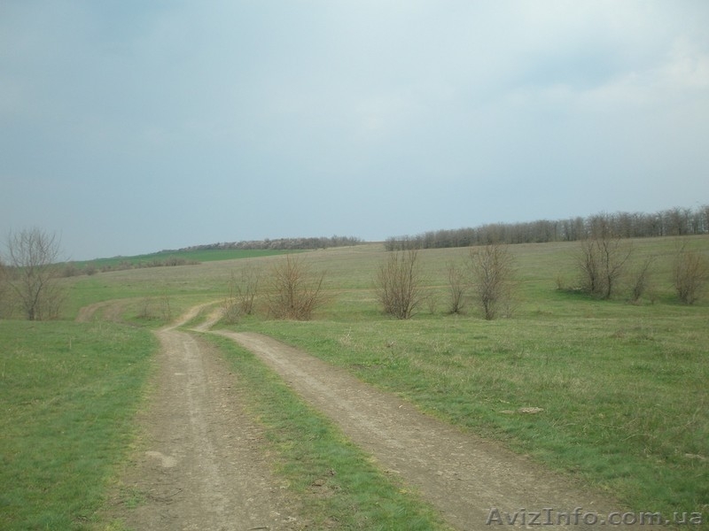 Продам участок земли 135 га и озеро 195 га.   - <ro>Изображение</ro><ru>Изображение</ru> #3, <ru>Объявление</ru> #1115471