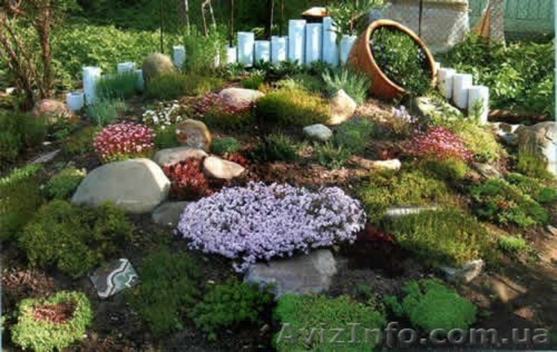 Услуги ландшафтного дизайна - <ro>Изображение</ro><ru>Изображение</ru> #4, <ru>Объявление</ru> #1133196