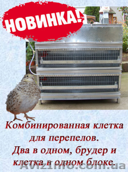 Комбинированная клетка для перепелов. - <ro>Изображение</ro><ru>Изображение</ru> #3, <ru>Объявление</ru> #1150145
