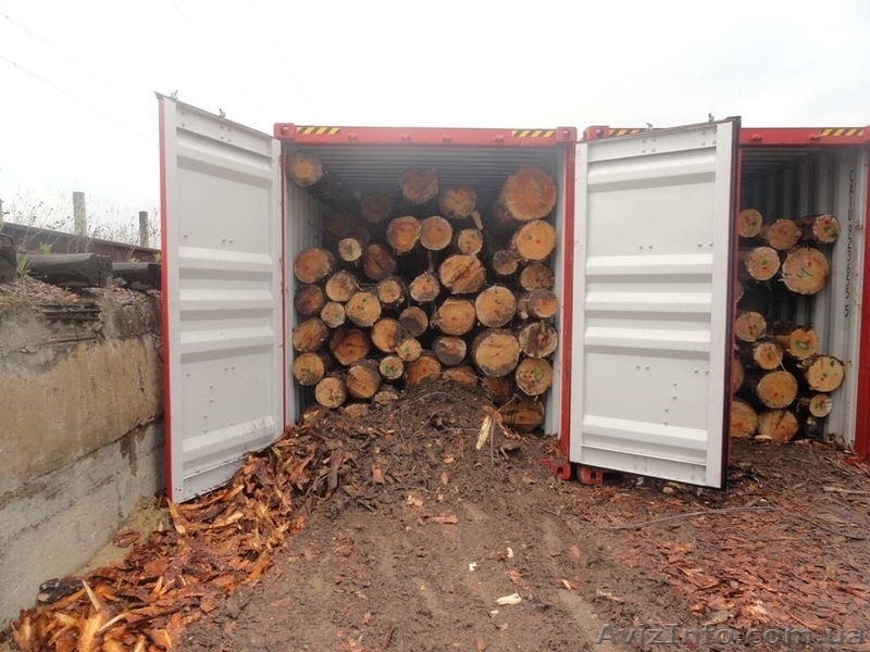 Перевалка в контейнер - <ro>Изображение</ro><ru>Изображение</ru> #3, <ru>Объявление</ru> #1167452