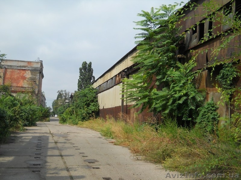 Продажа производственно-складского комплекса в Одессе. - <ro>Изображение</ro><ru>Изображение</ru> #9, <ru>Объявление</ru> #1166362