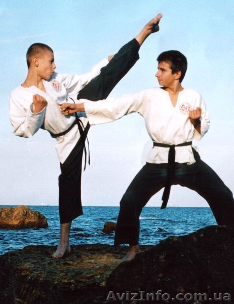 Обучение боевым искусствам и единоборствам - <ro>Изображение</ro><ru>Изображение</ru> #9, <ru>Объявление</ru> #1160014