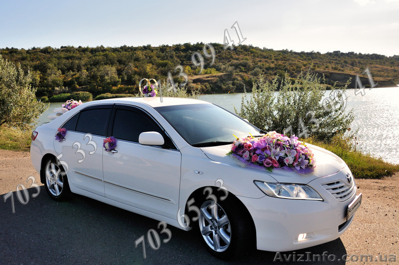 Транспортная компания Od-Service в Одессе - <ro>Изображение</ro><ru>Изображение</ru> #3, <ru>Объявление</ru> #1174905