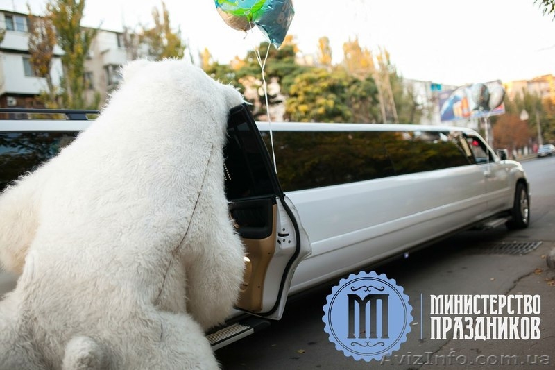 Долгожданная выписка из роддома малыша Одесса - <ro>Изображение</ro><ru>Изображение</ru> #5, <ru>Объявление</ru> #1178616