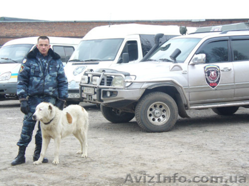 Охрана в Одессе - <ro>Изображение</ro><ru>Изображение</ru> #3, <ru>Объявление</ru> #1169769
