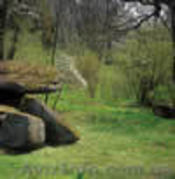 Продам озеро 40га и земельный участок 135га по 165 грн. сотка. - <ro>Изображение</ro><ru>Изображение</ru> #3, <ru>Объявление</ru> #1222678