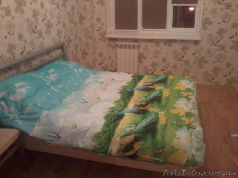 Посуточная аренда трехкомнатной квартиры на Большой Арнаутской.  - <ro>Изображение</ro><ru>Изображение</ru> #5, <ru>Объявление</ru> #1242304