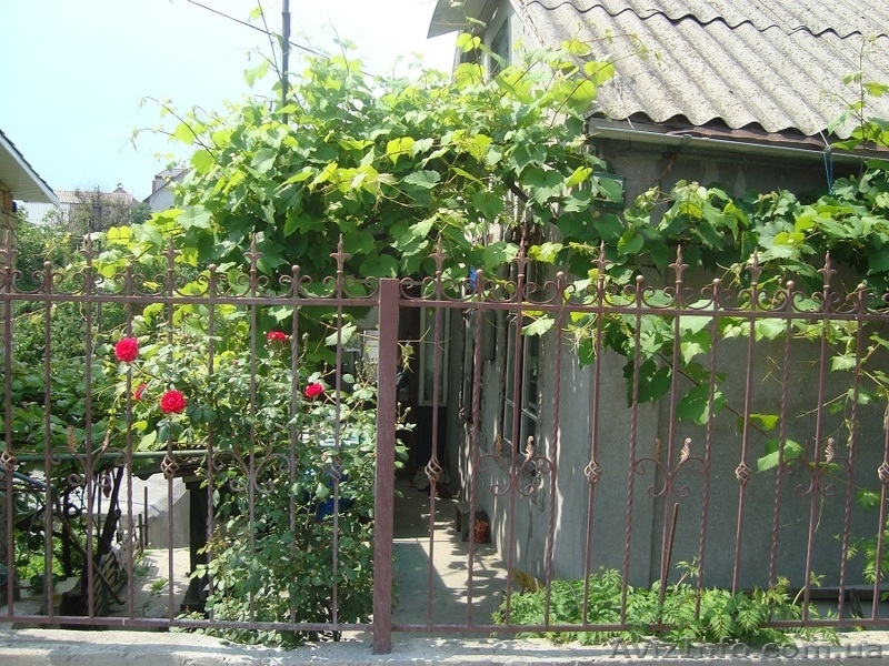 Часть дома в Крыжановке. Вторая линия от моря! - <ro>Изображение</ro><ru>Изображение</ru> #4, <ru>Объявление</ru> #1297894