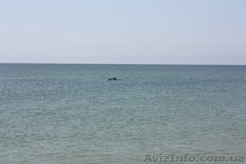 Срочна продам 4 сотки на курорте Рассейка  - <ro>Изображение</ro><ru>Изображение</ru> #5, <ru>Объявление</ru> #1307221