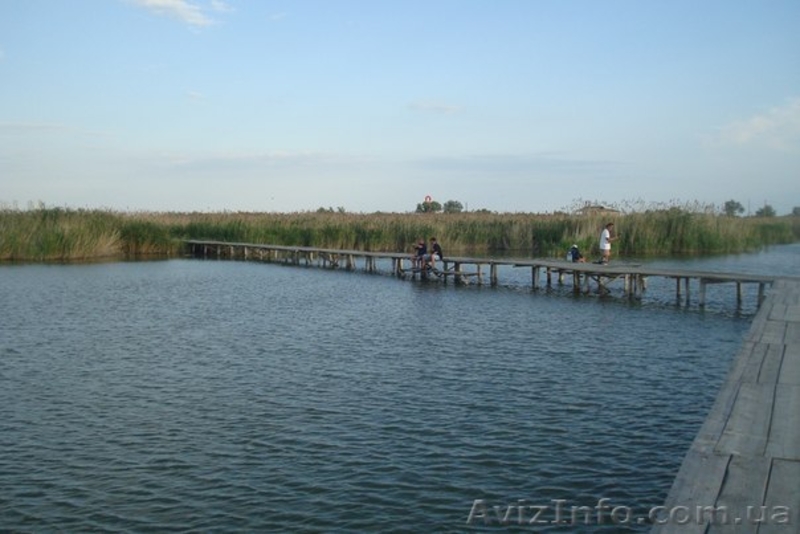 Срочна продам 4 сотки на курорте Рассейка  - <ro>Изображение</ro><ru>Изображение</ru> #7, <ru>Объявление</ru> #1307221