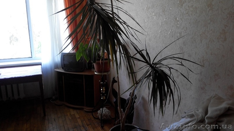 3-комнатная квартира в районе СШ№22 - <ro>Изображение</ro><ru>Изображение</ru> #6, <ru>Объявление</ru> #1297874