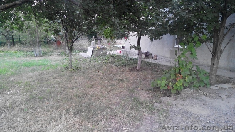 Дом в Вапнярке на морской стороне - <ro>Изображение</ro><ru>Изображение</ru> #5, <ru>Объявление</ru> #1305328