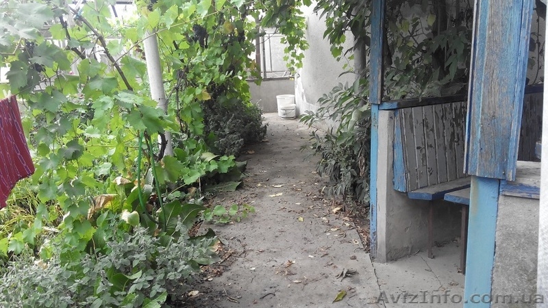 Дом в центре села Маяки - <ro>Изображение</ro><ru>Изображение</ru> #3, <ru>Объявление</ru> #1305325