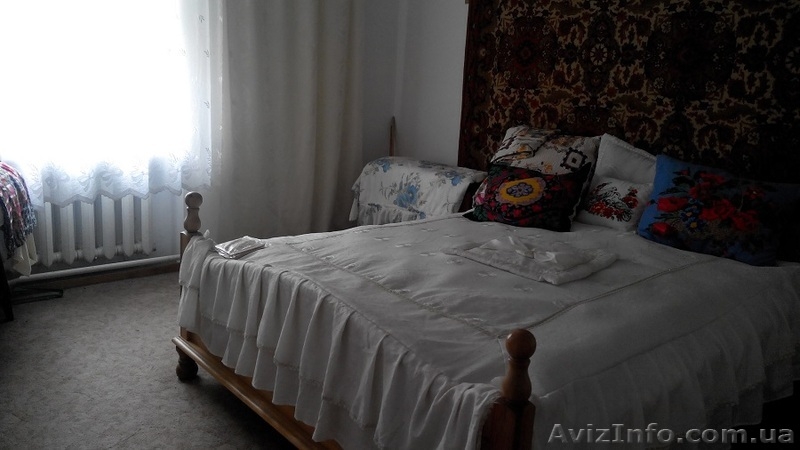 Дом в центре села Маяки - <ro>Изображение</ro><ru>Изображение</ru> #8, <ru>Объявление</ru> #1305325