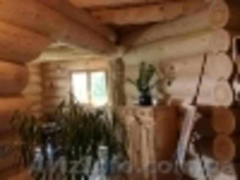 Строим срубы в Одессе. Предавагаем- Купить сруб в Одессе. - <ro>Изображение</ro><ru>Изображение</ru> #3, <ru>Объявление</ru> #1316126